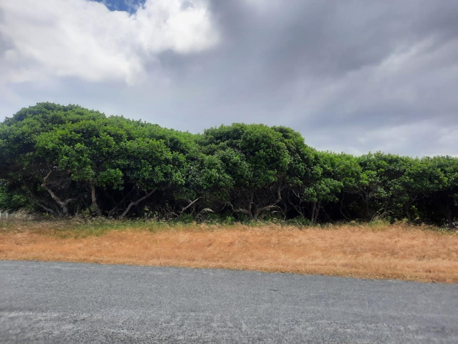Commercial Property for Sale in Kleinbaai Western Cape